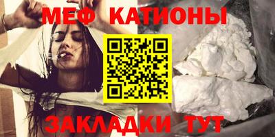 индика Кингисепп