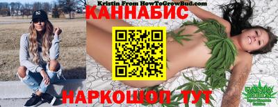 индика Кингисепп