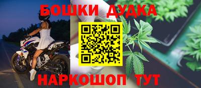 индика Кингисепп