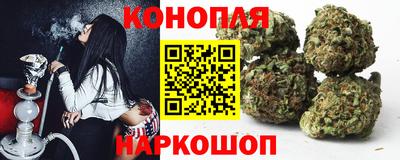 индика Кингисепп