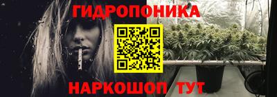 Альфа ПВП Кимры