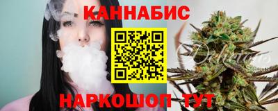 индика Кингисепп