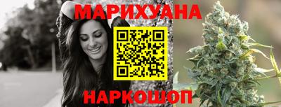 индика Кингисепп