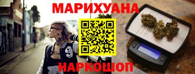 индика Кингисепп
