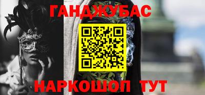 индика Кингисепп