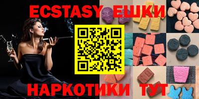 индика Кингисепп