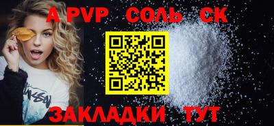 индика Кингисепп
