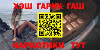 индика Кингисепп