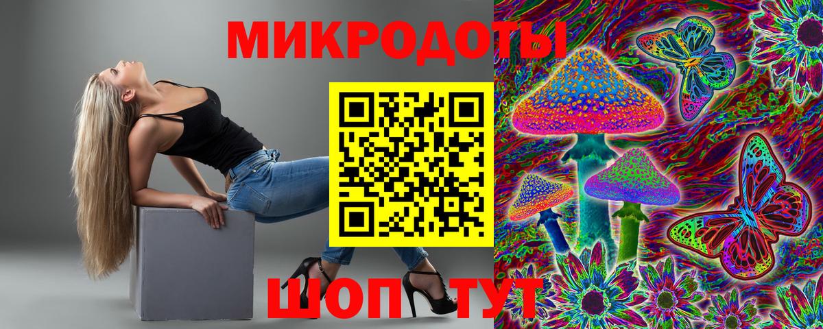 Кизляр  Галлюциногенные грибы Cubensis  Вход с VPN 